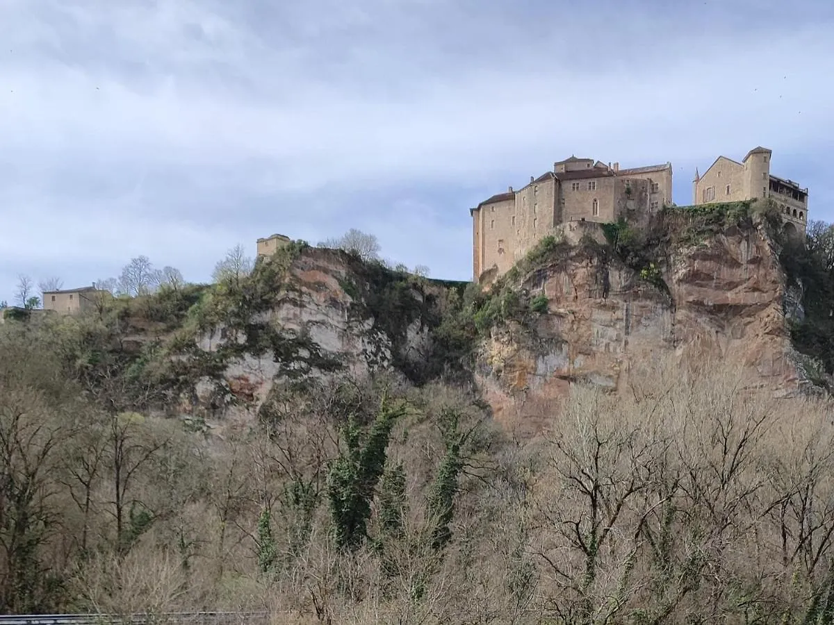 Holiday Home In Bruniquel On The Aveyron River